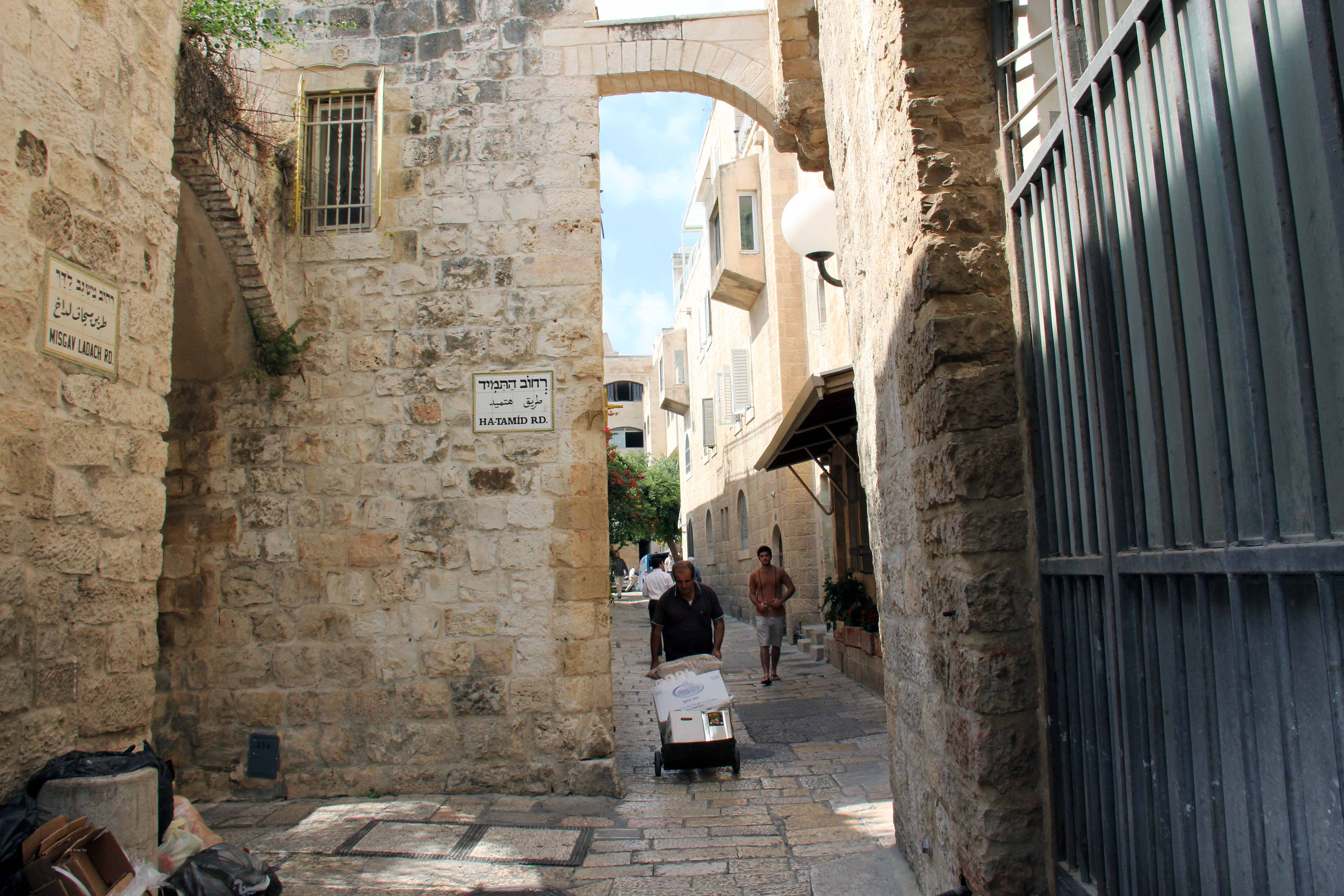 Temple Institute image 3